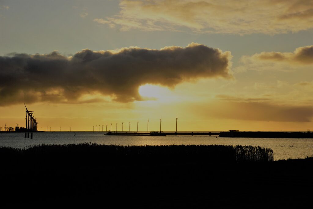 transizione ecologica 